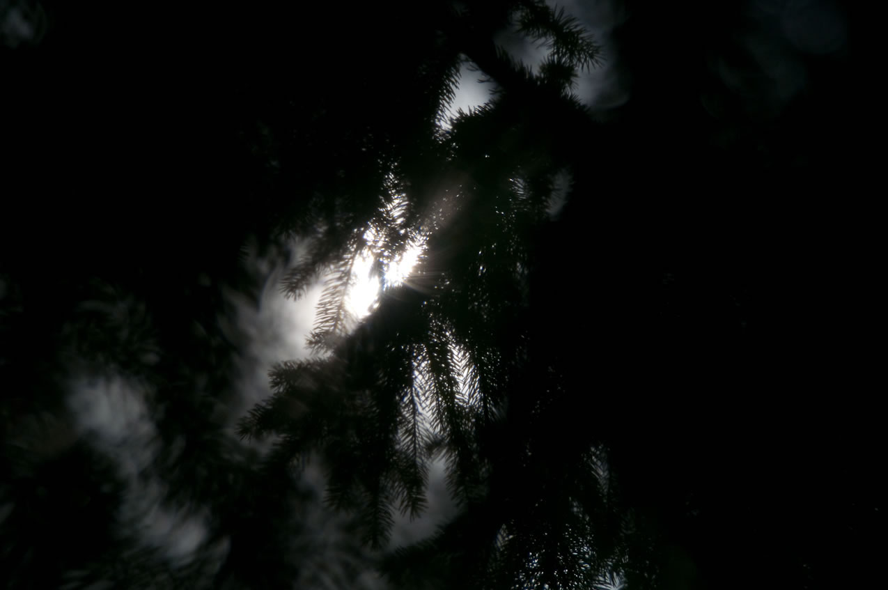 Images